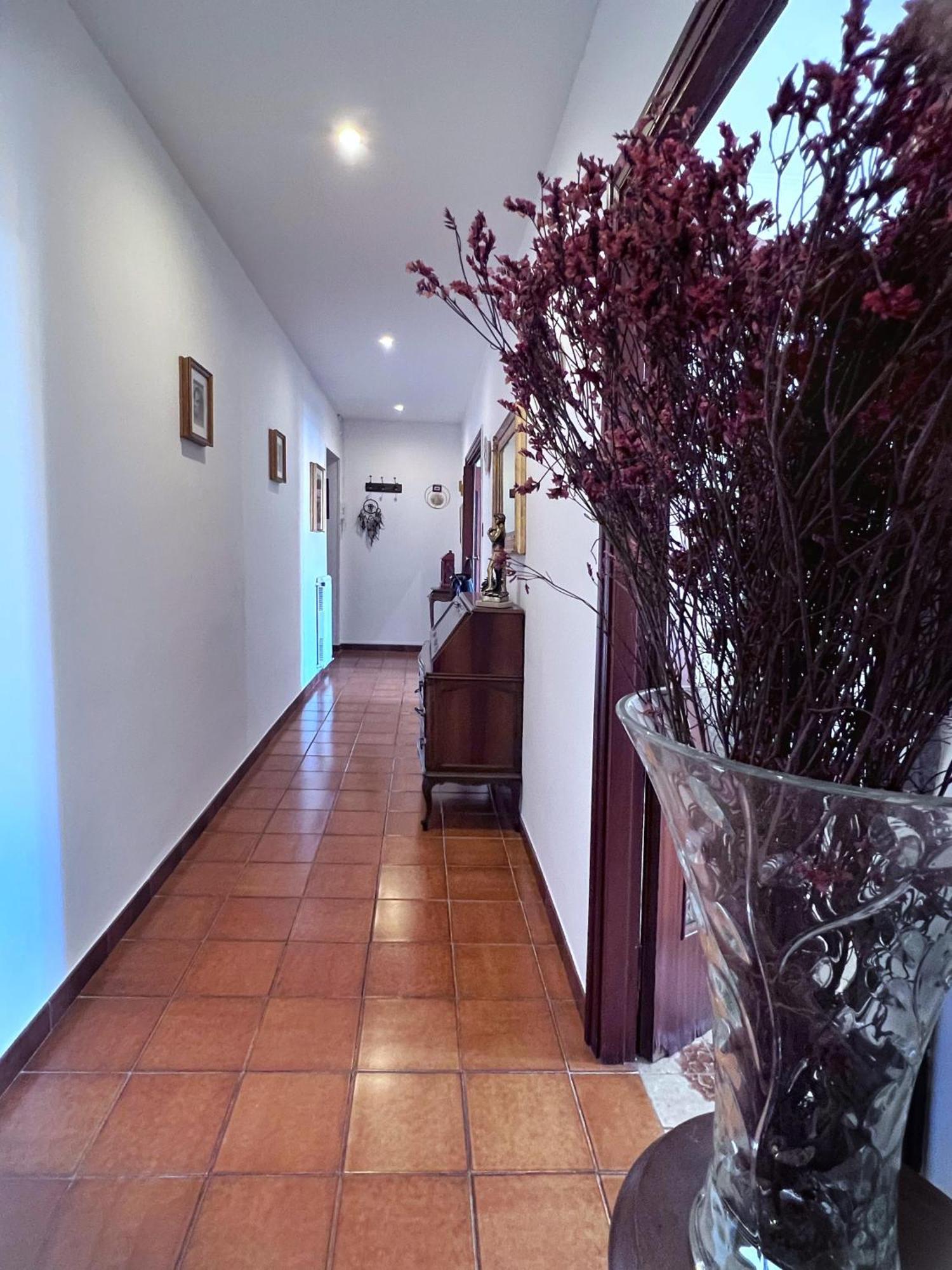 Sonia Trastevere Apartment *
